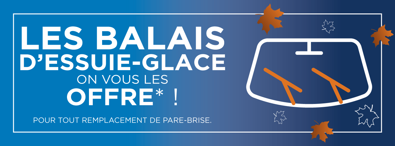 Image de la promotion